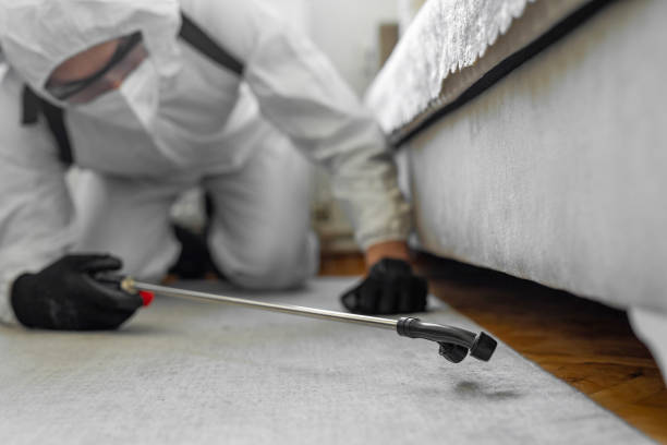 Professional Pest Control technician working in Boulder, MT
