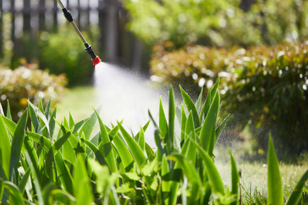 24/7 Emergency Pest Control experts in Boulder, MT